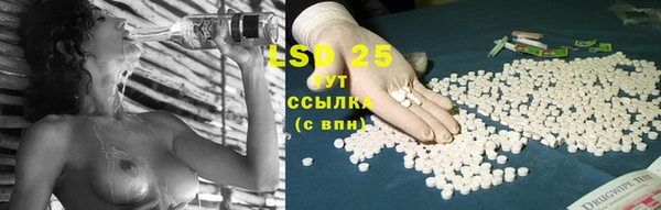 ПСИЛОЦИБИНОВЫЕ ГРИБЫ Липки