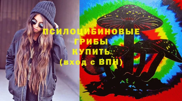 ПСИЛОЦИБИНОВЫЕ ГРИБЫ Липки